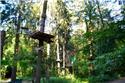 Veranstaltungsbild Klettern im Kletterwald Aurich